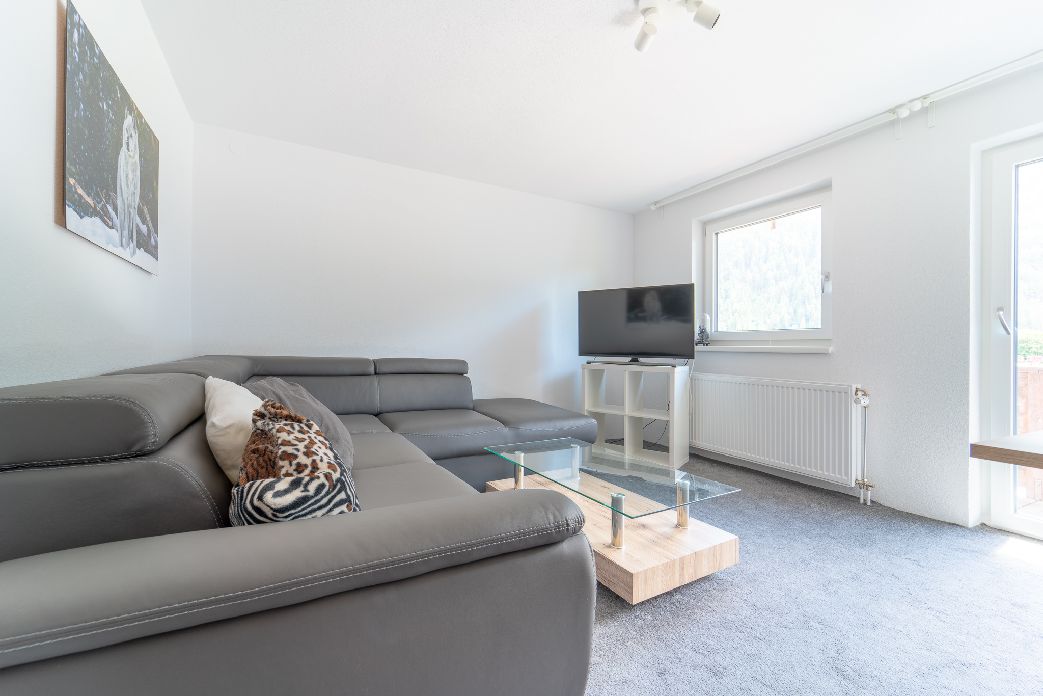Living room in apartment Cosy