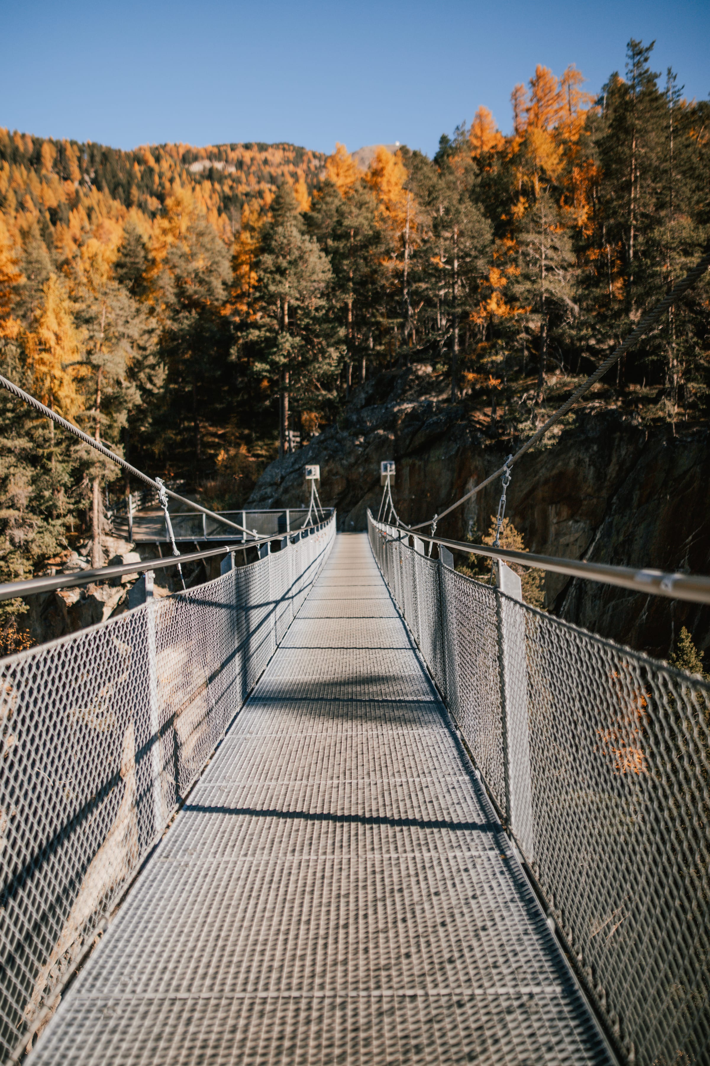 Hängebrücke durch herbstlich verfärbten Wald im Ötztal