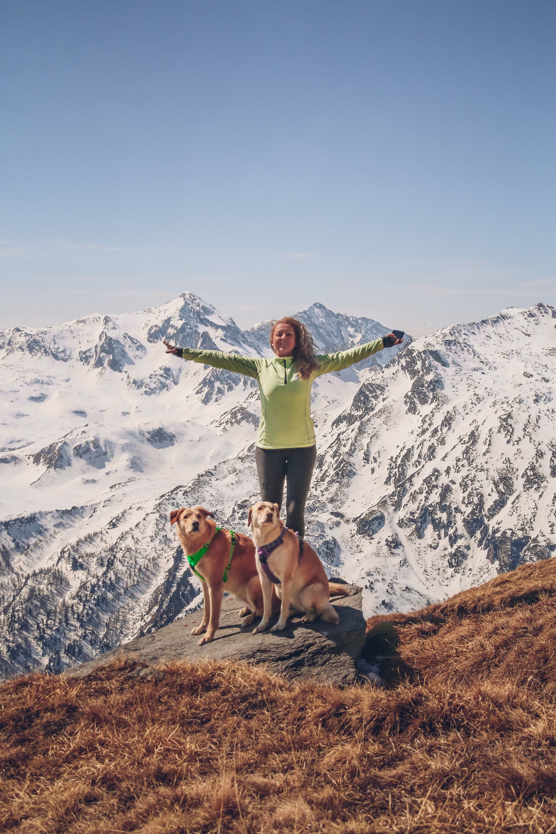 Hiker with two dogs in front of snowy mountains in winter