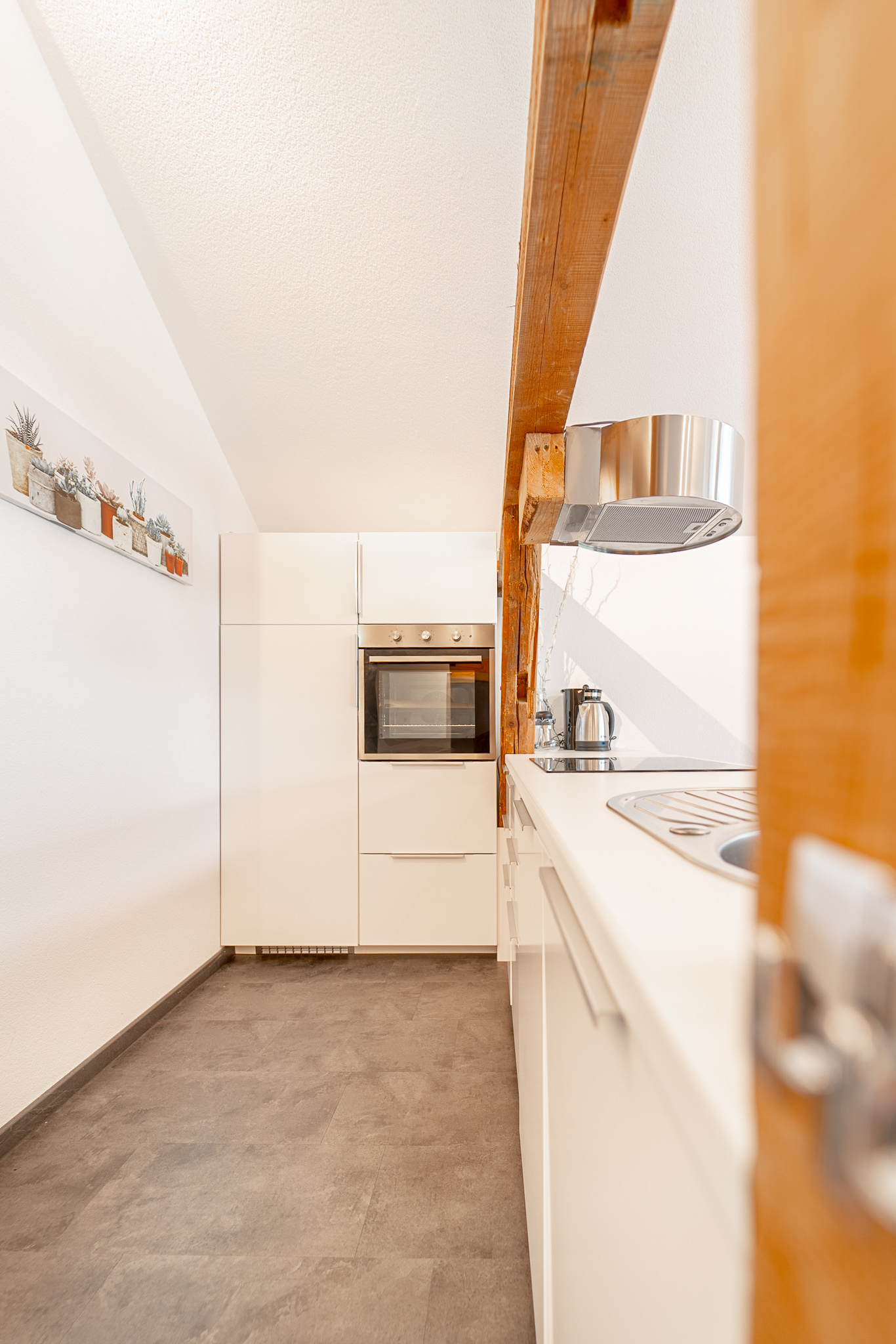 Modern kitchen in apartment Sky