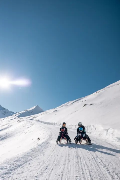 Sledgers on a sunny natural toboggan run